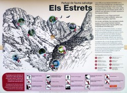 Refugio de fauna salvaje  - Cartel donde se explica la fauna i flora que podemos encontrar en este paraje 
