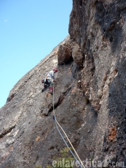 Paso plaquero
