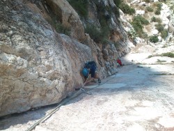 Primer diedro