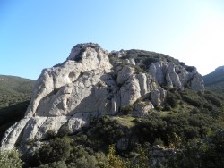 Sector la Y y Quesos