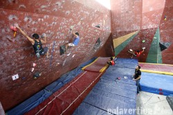 Pura escalada