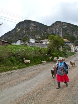 De subida al Coji