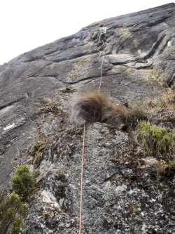 Bailando con la roca