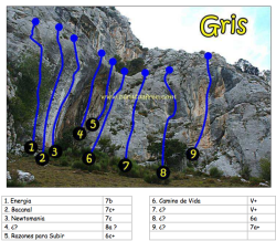 Croquis sector Gris 
