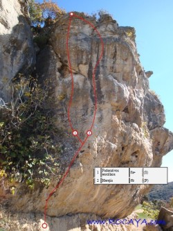 Sector Rojo 