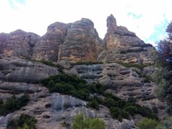 Vistas de la estética Mitra desde el pantano