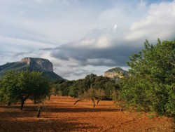 Llegando al Castell d'Allaró.