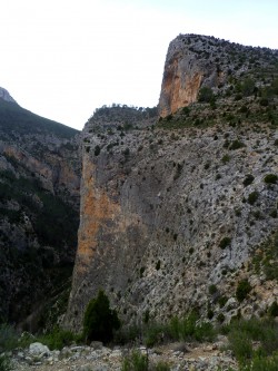 Vista del sector