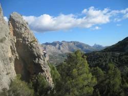 Sector Jabali