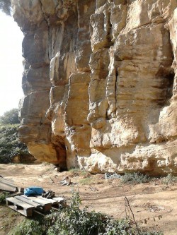 Los cantos