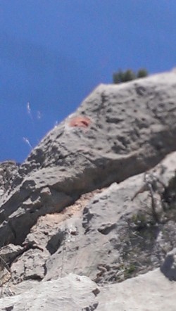 Puntos rojos que marcan el recorrido 