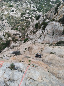 Solete