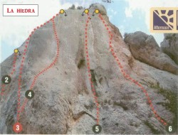 La hiedra 