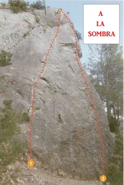 A la sombra 