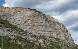 Pared Bucólica