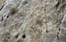 Marca del inicio de la vía Diada  - Nombre de la vía picado al comienzo de la misma. 