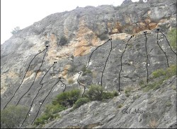 Altico 3 