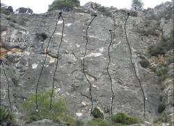 Altico 4 