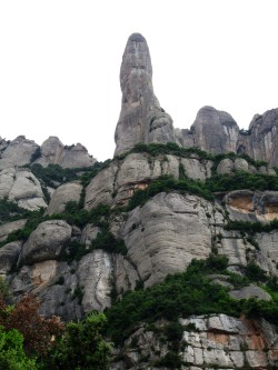 Cavall Bernat (Montserrat)