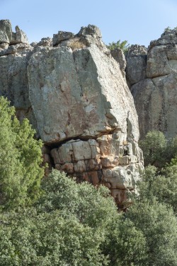 Molondrio Derecha