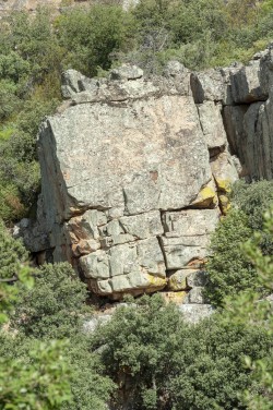 Molondrio Izquierda