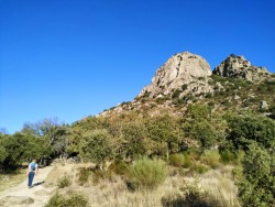 Pico de la Miel