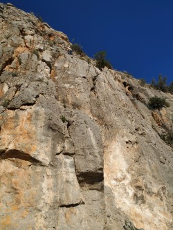 Primer largo