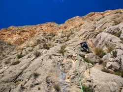 Primer largo Gorilas en la roca